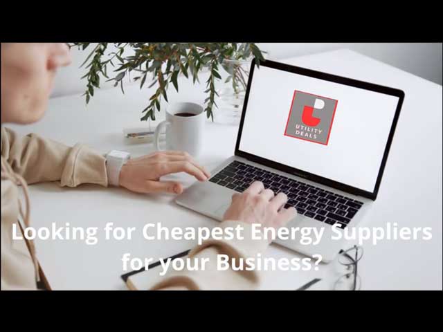 Supporting your Business